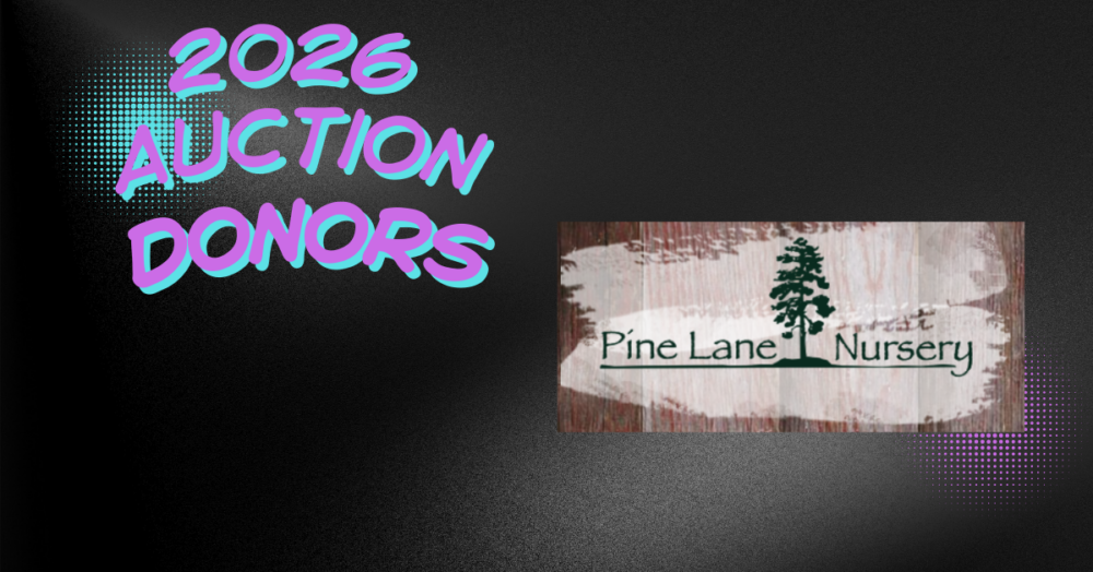 Little Blessings Preschool