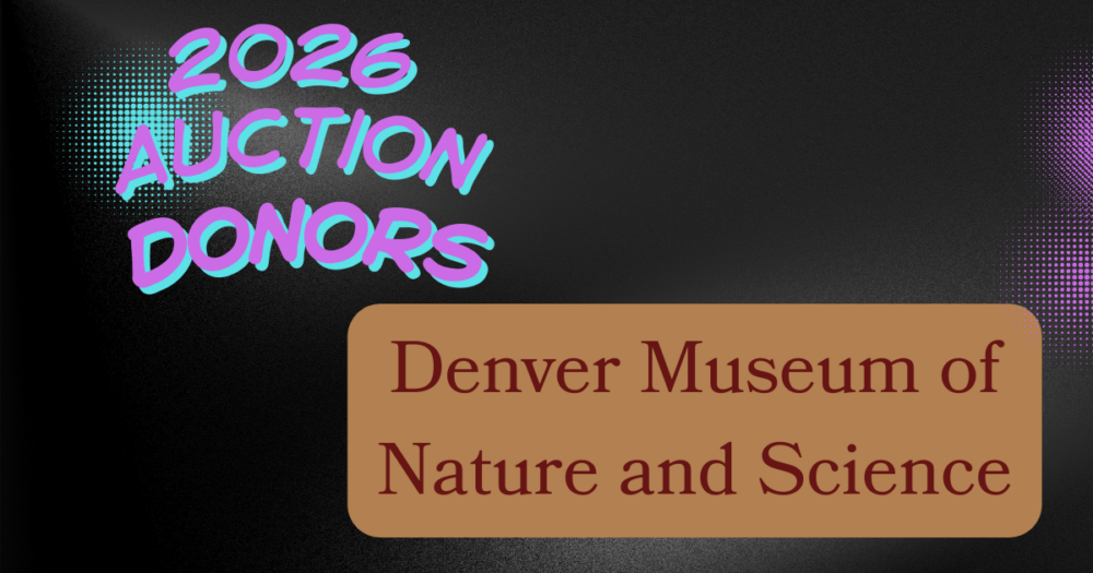 Little Blessings Preschool